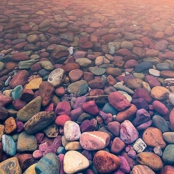 Poshmark Ambassador💕🙏🧿💕💫 5 Star Seller - Picture 3 of 16